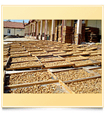 walnut production